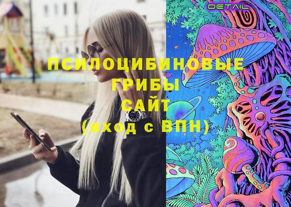 a pvp Козловка