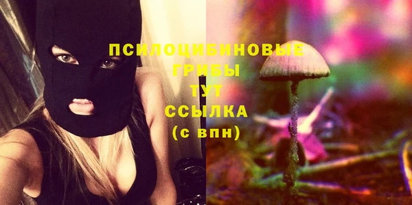 дурь Кодинск